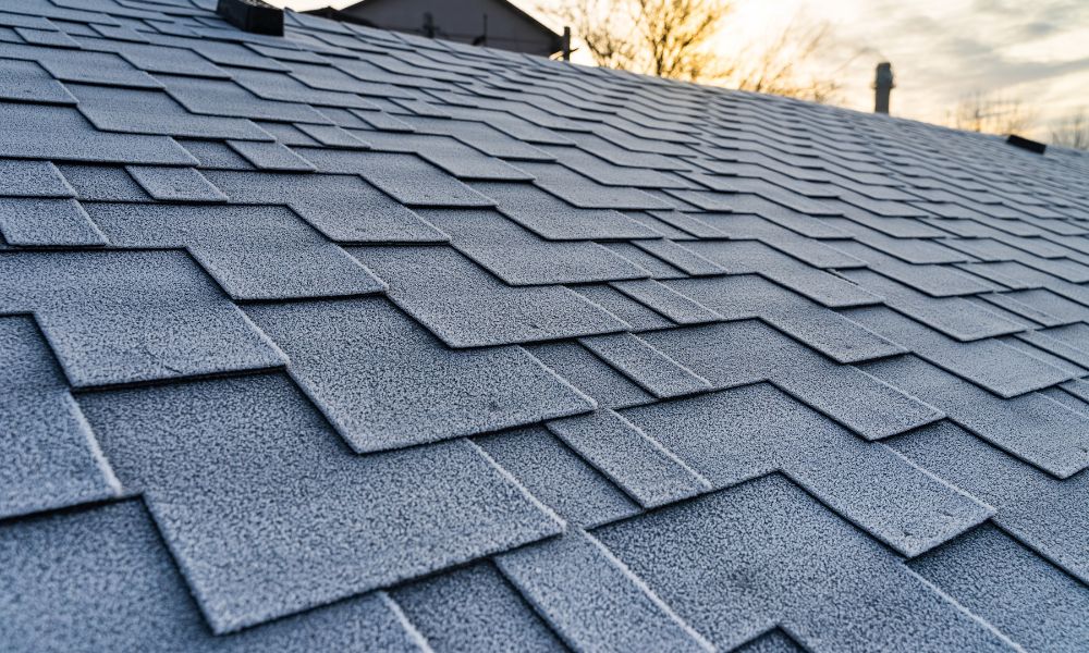The Different Types of Roofing Materials for Your Home