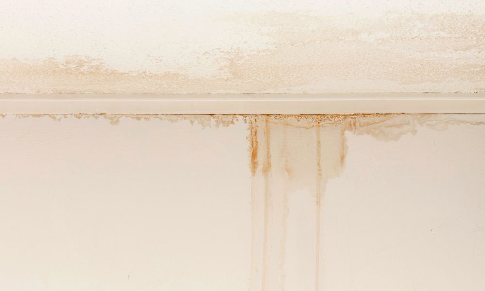 What Should You Do if Your Roof Starts Leaking?