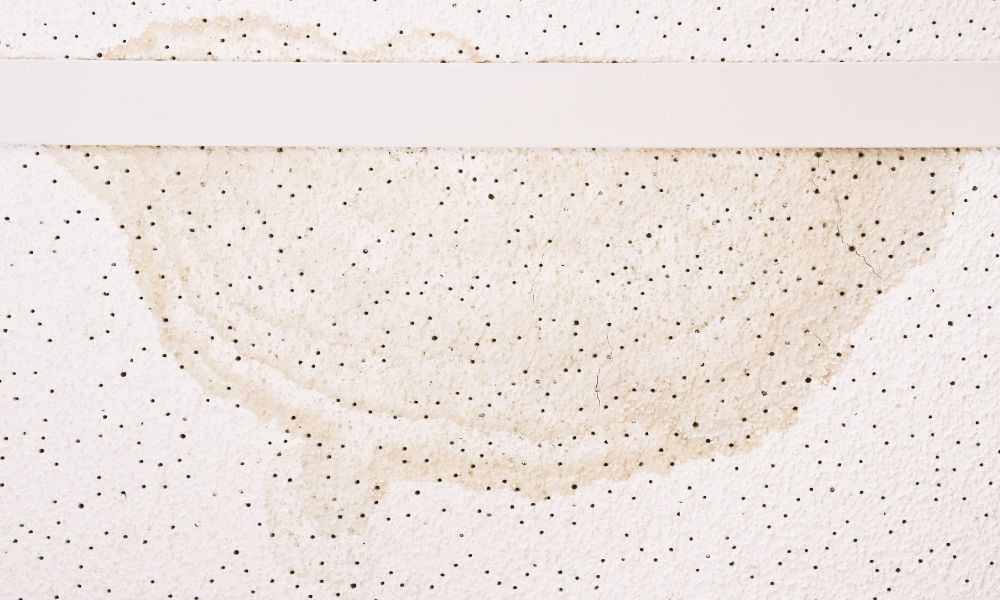 What To Do if You See Moisture Stains in Your Ceiling